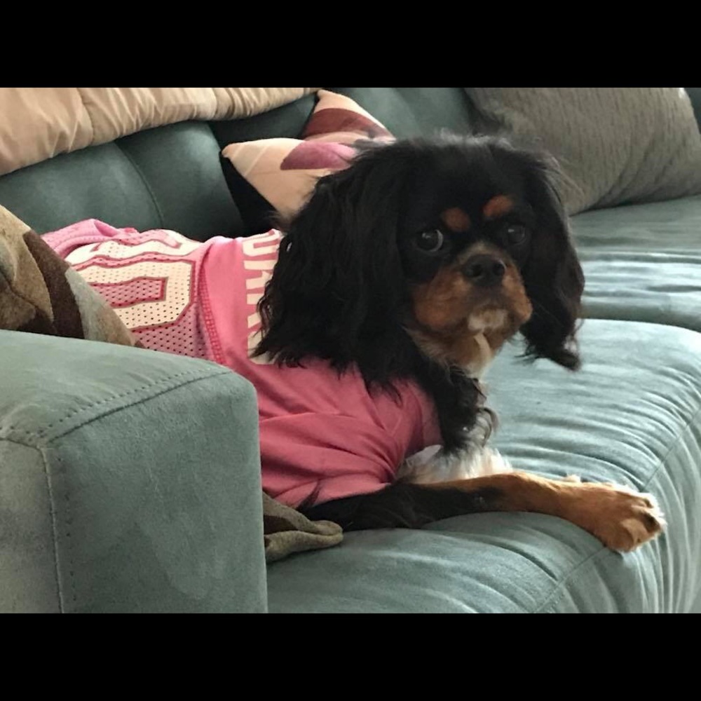 Meet your Posher, Pam